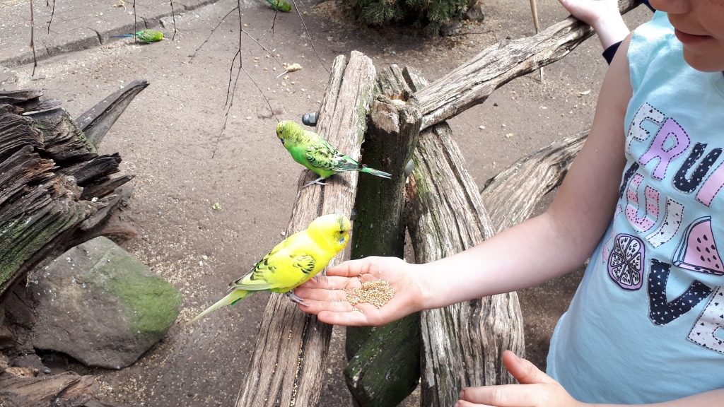 Tierpark Nordhorn